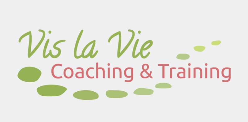 logo-vislavie