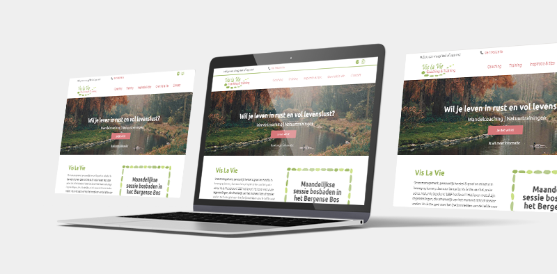portfolio-laptop-vislavie